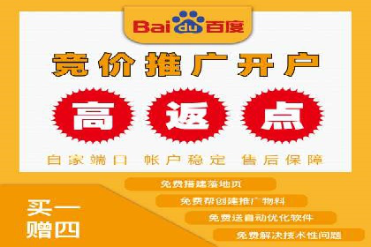 企业SEM服务实战案例解析